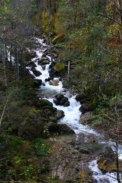 Готель Vila Sucu Пояна-Марулуй Екстер'єр фото