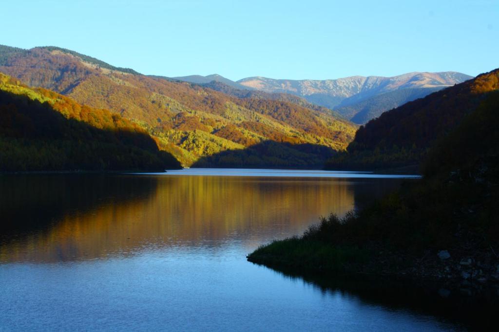 Готель Vila Sucu Пояна-Марулуй Екстер'єр фото